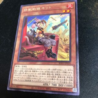 鉄獣戦線 キット レア