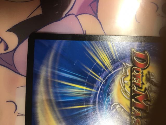 ジュゴン様専用