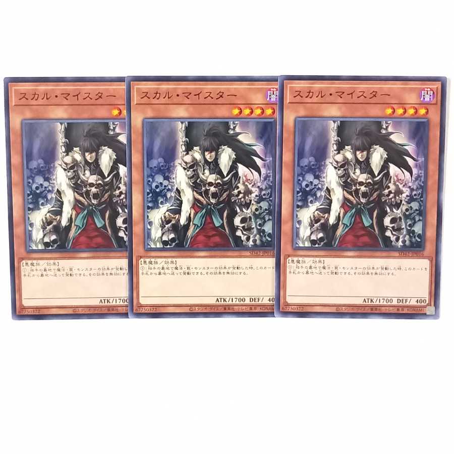 スカル・マイスター ノーマル3枚