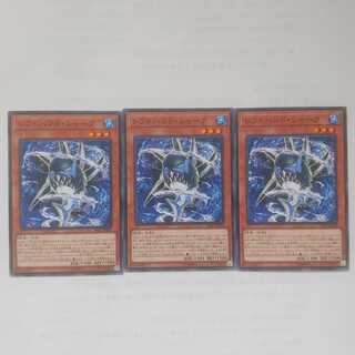 71 レフトハンド・シャーク 3枚 鮭イクラ商店