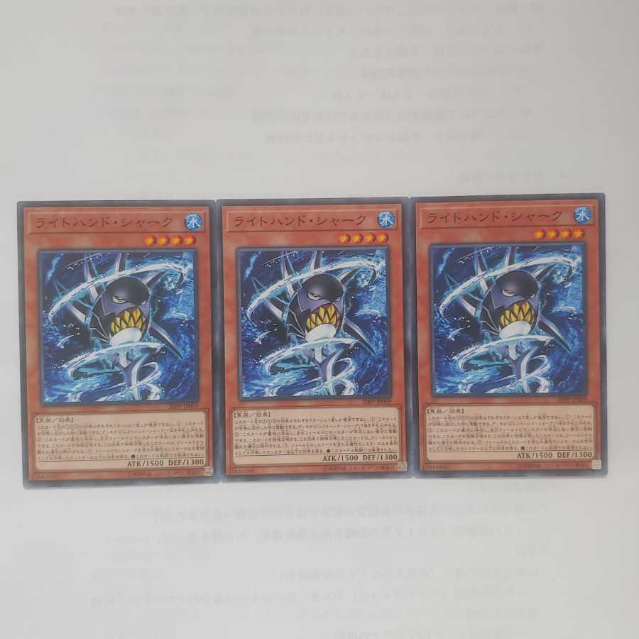 80 ライトハンド・シャーク 3枚 鮭イクラ商店