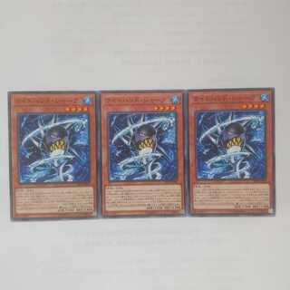 80 ライトハンド・シャーク 3枚 鮭イクラ商店