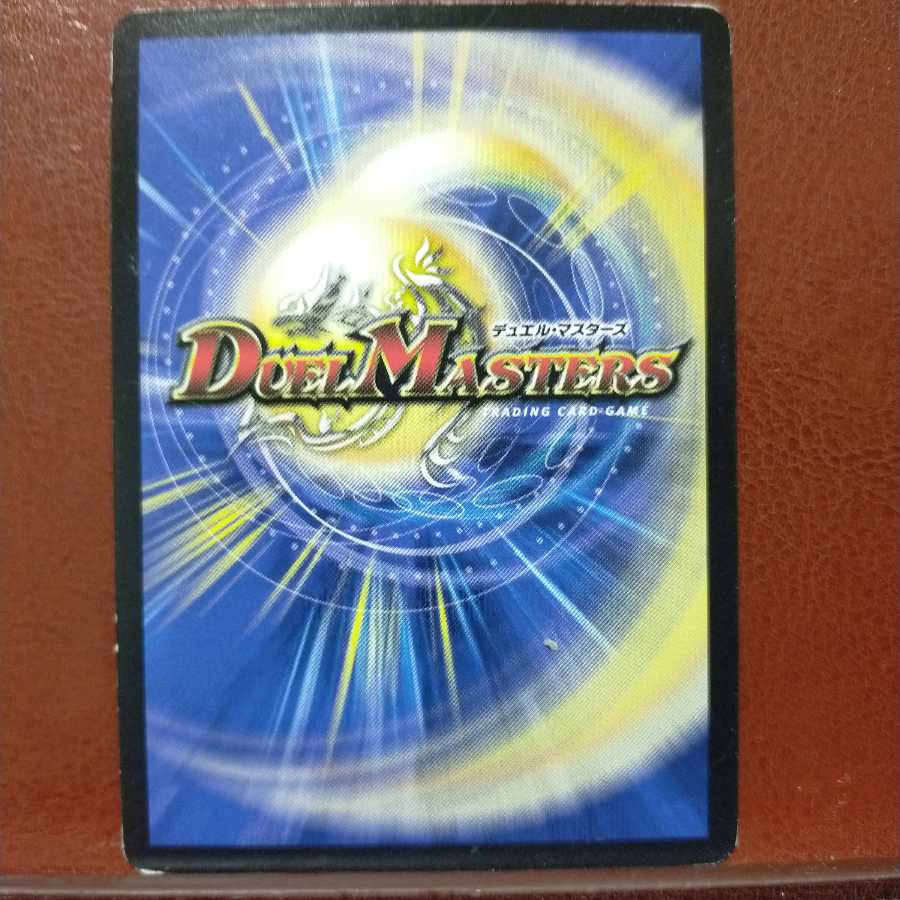 mri6384セット割引 愛されし者 イルカイル