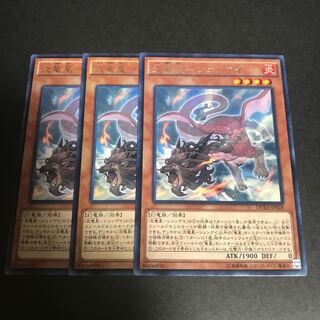 炎竜星-シュンゲイ