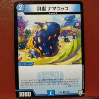 mri6408 set discount Shelled beast, sea cucumber