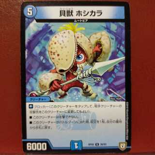 mri6416セット割引　貝獣 ホシカラ