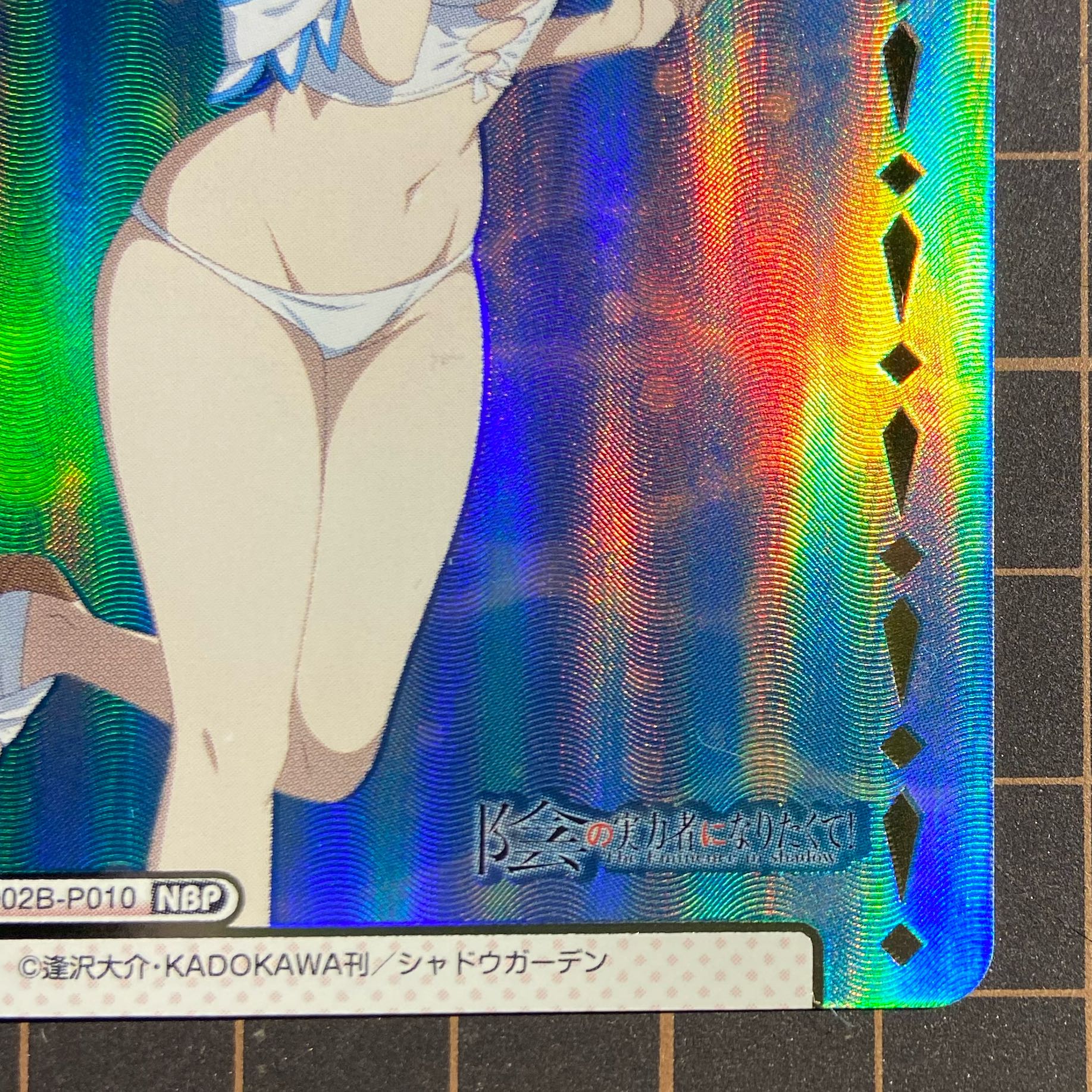 NBP Beta Foil Stamping