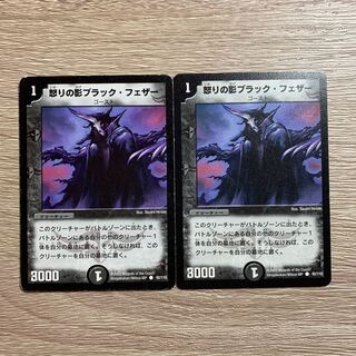 怒りの影ブラック・フェザー　2枚セット