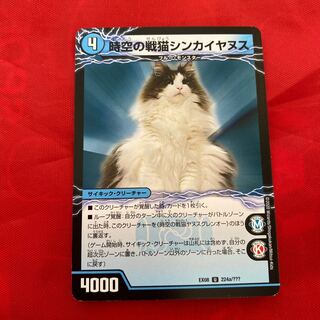 Space-time War Cat Shinkaiyanus｜Space-time War Cat Janus Glenor