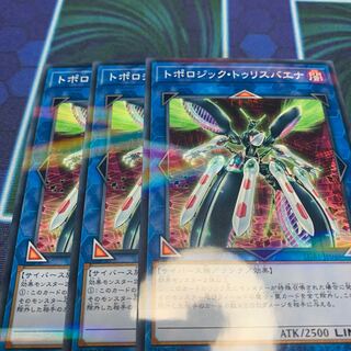 トポロジック・トゥリスバエナ　専用