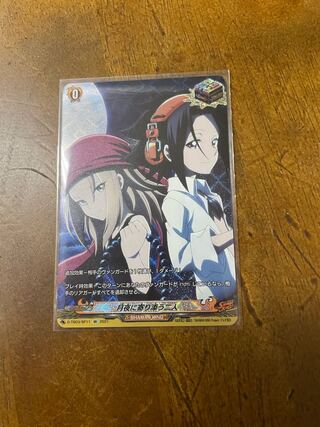 シャーマンキング　12枚セット レア シャーマンキングのアクションフィギュア,収集可能な装飾,本物の