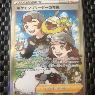 すとふぁく屋様専用  ポケモンブリーダーの育成　SR