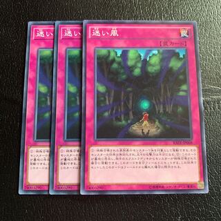 迷い風 ノーマル