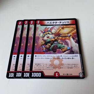 Haetata Chu Squirrel