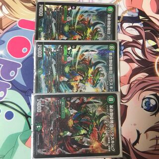 革命類侵略目 パラスキング