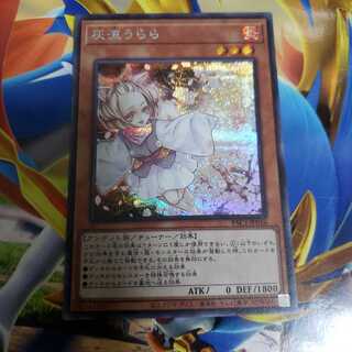 灰流うらら シークレットレア　PAC1