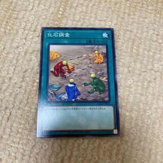 化石調査 ノーマル