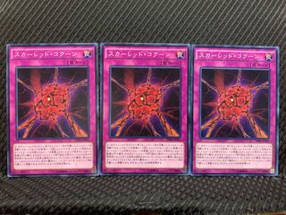 【ぽぽたん】遊戯王 3305 スカーレッド・コクーン 3枚 ノーマル