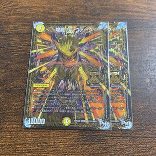 煌龍 サッヴァーク