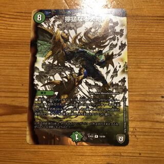 獰猛なる大地 1枚