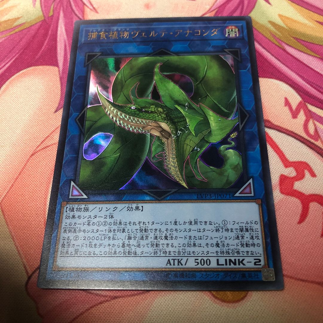 Predaplant Verte Anaconda