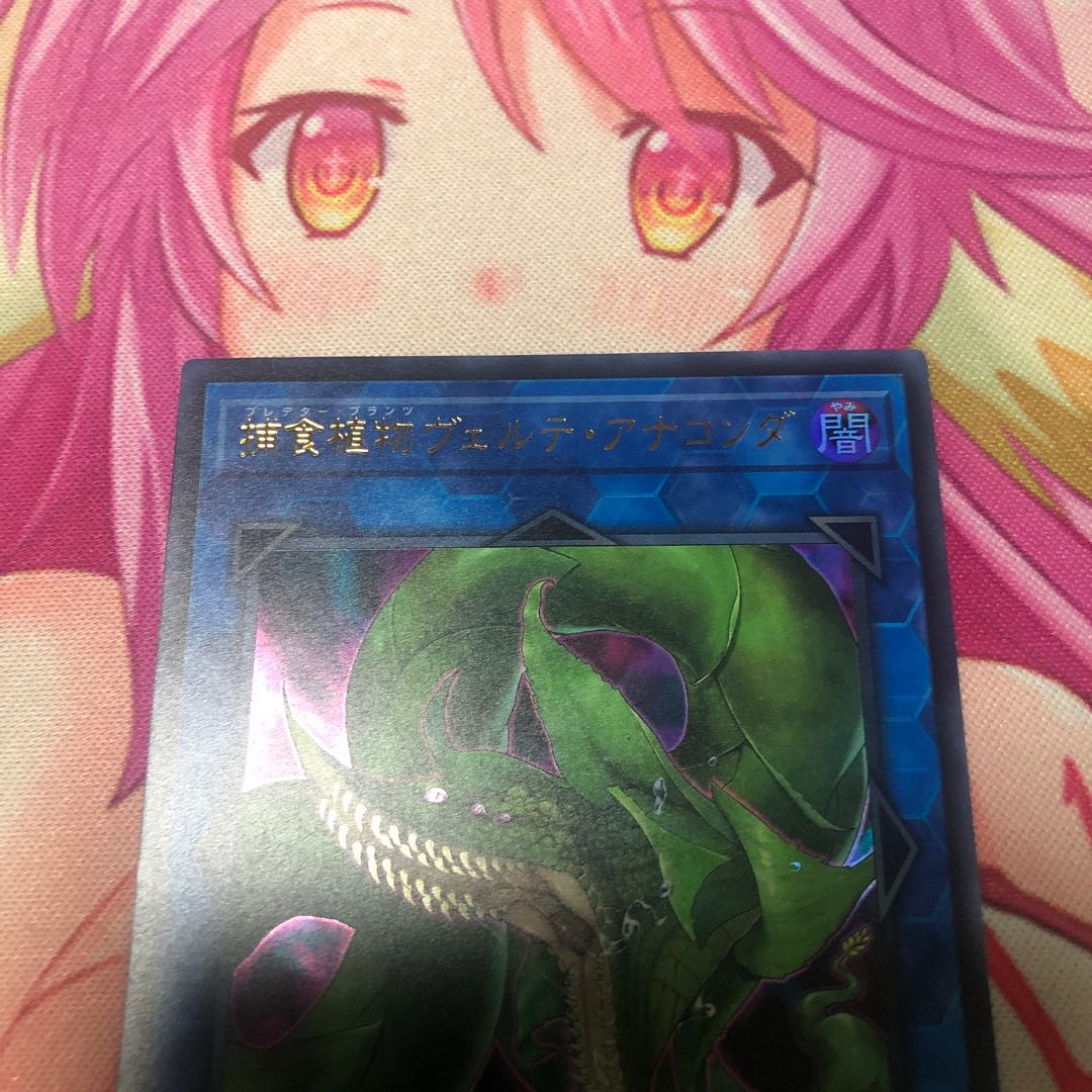 Predaplant Verte Anaconda