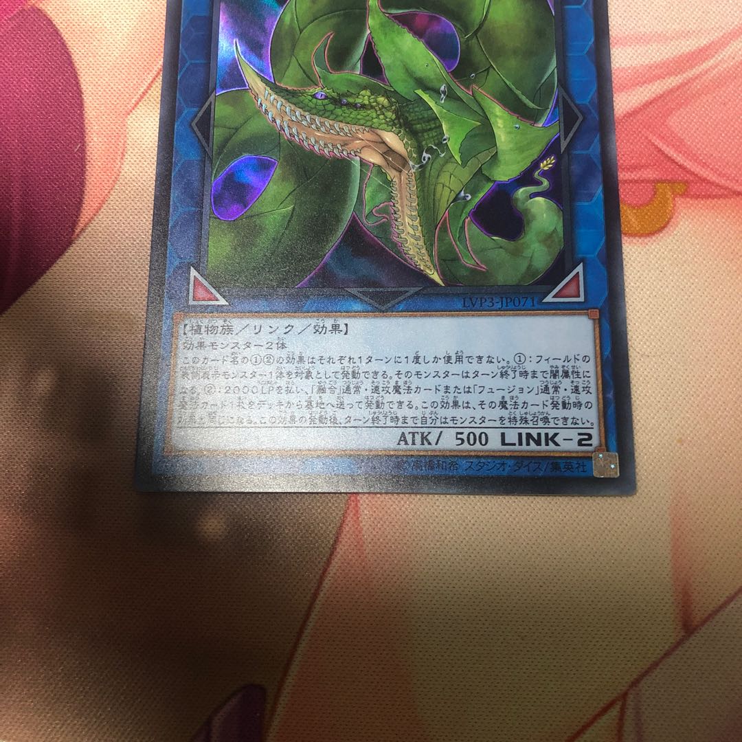 Predaplant Verte Anaconda