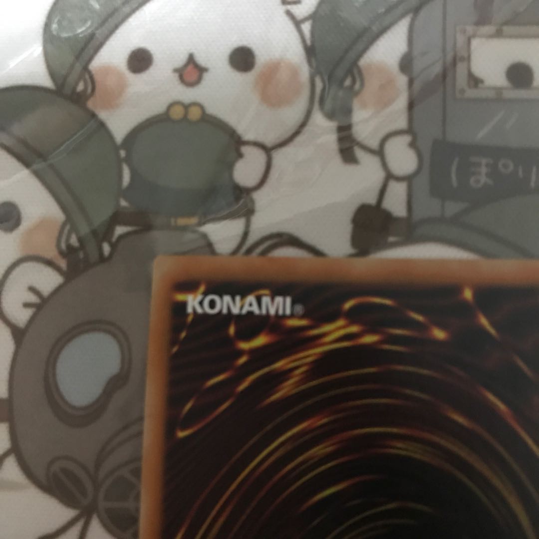 けんちん様専用　万物創世龍