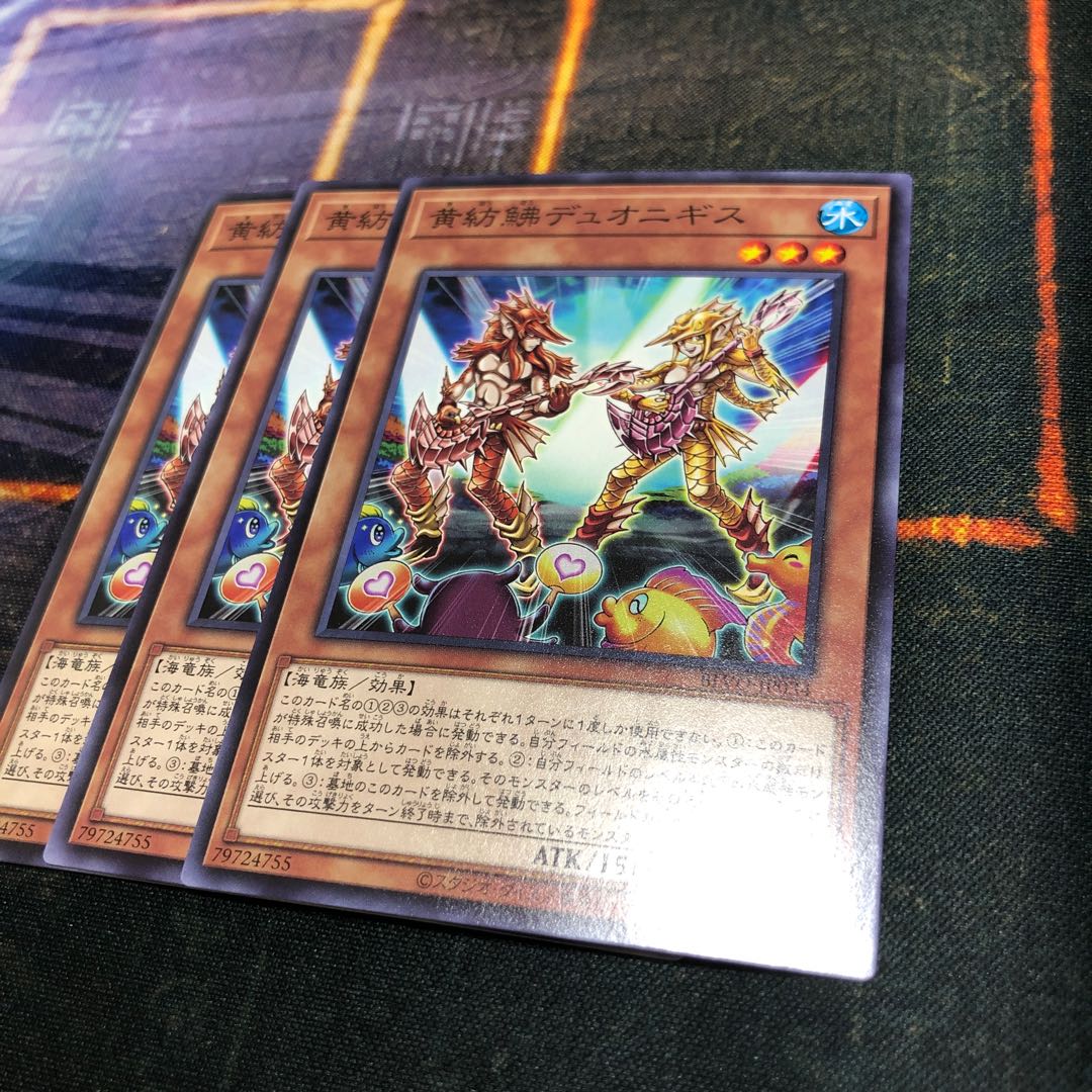 黄紡鮄デュオニギス ノーマル