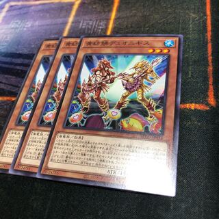 黄紡鮄デュオニギス ノーマル