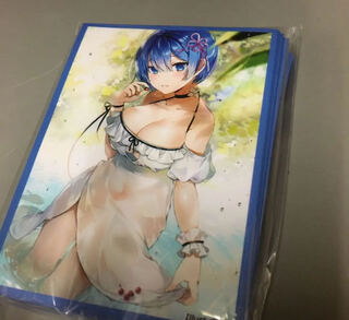 RIZERO LEM Sleeve Re:Zero kara Hajimekari Isekai Life