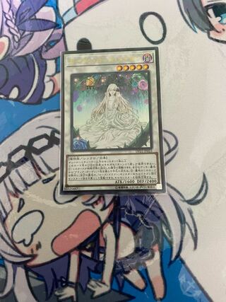 ガーデン・ローズ・メイデン ウルトラレア