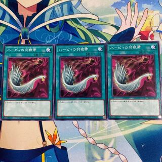 ハーピィの羽根帚 ノーマル　3枚