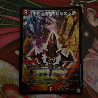 瞬閃と疾駆と双撃の決断