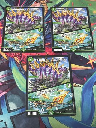 闘争類拳嘩目 ステゴロ・カイザー｜お清めシャラップ