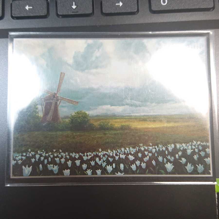 Marshall loop deck gr Psychic dimension with auxiliary parts