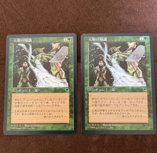 マジックザギャザリング  テンペスト大地の知識 2枚