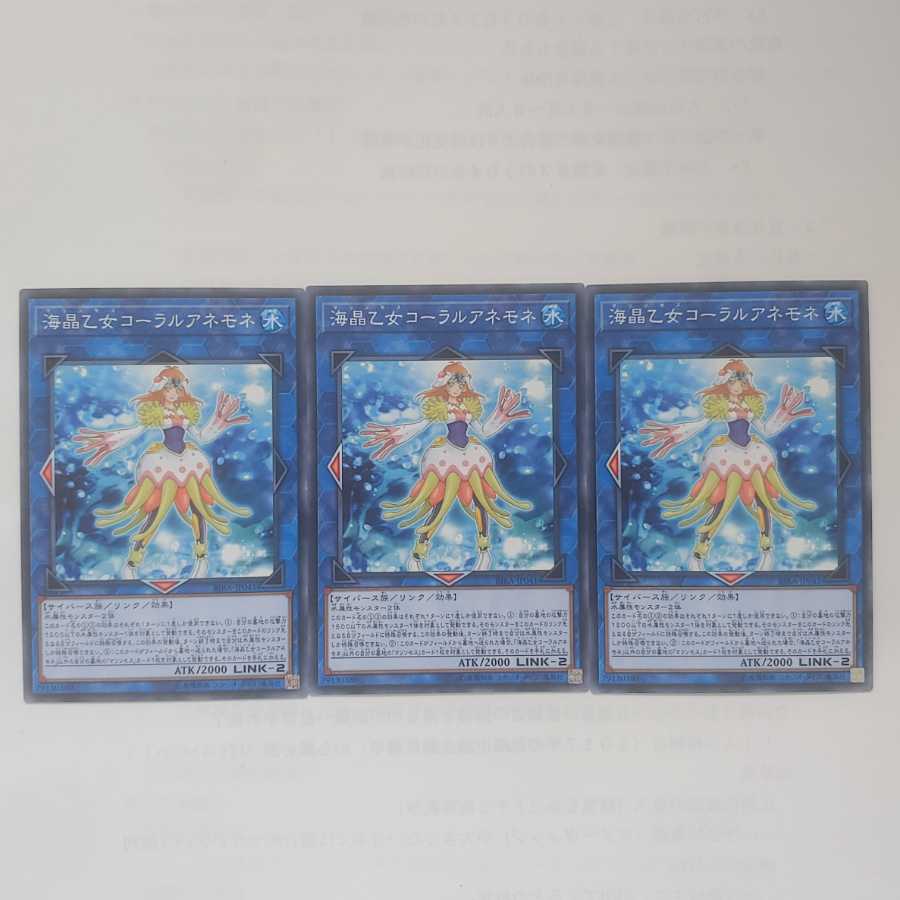 87 海晶乙女コーラルアネモネ 3枚 鮭イクラ商店