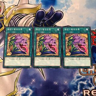 強欲で貪欲な壺3枚