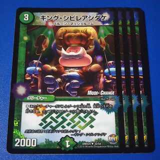 キングシビレアシダケ　4枚【管理記号12】