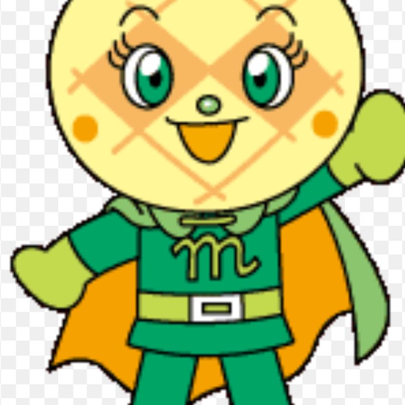 やま様専用　メインスリーブ