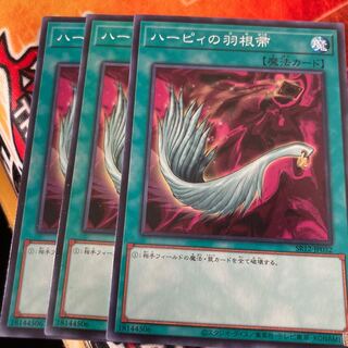 ハーピィの羽根帚 ノーマル