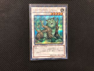 遊戯王 ナチュル・ビースト DTCシク 1枚 (Used) （510777367）| magi 