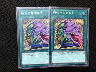 遊戯王 強欲で貪欲な壺　シークレット２枚