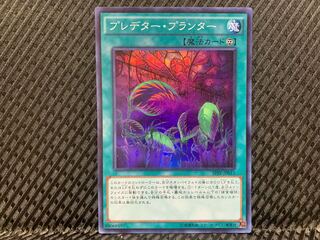 Popotan] Yu-Gi-Oh -1753 Predaponics Super