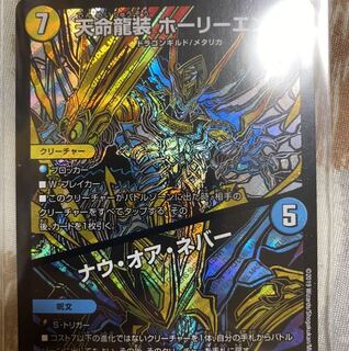 天命龍装ホーリーエンド／ナウオアネバー