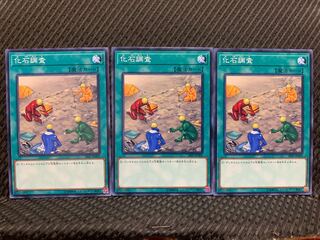 【ぽぽたん】遊戯王 3616 化石調査 3枚 ノーマル
