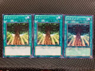 【ぽぽたん】遊戯王 4911 ガイアパワー 3枚 ノーマル