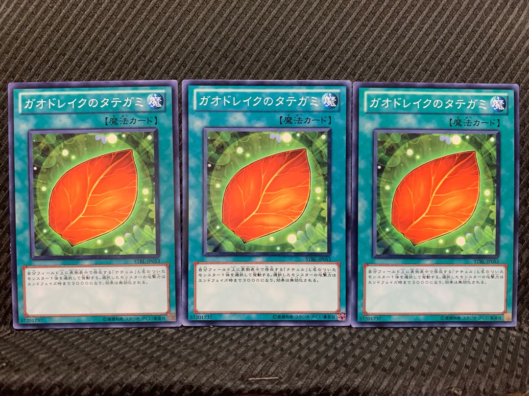 【ぽぽたん】遊戯王 6731 ガオドレイクのタテガミ 3枚 ノーマル