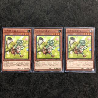 中国語　トークンコレクター　ノーマル3枚